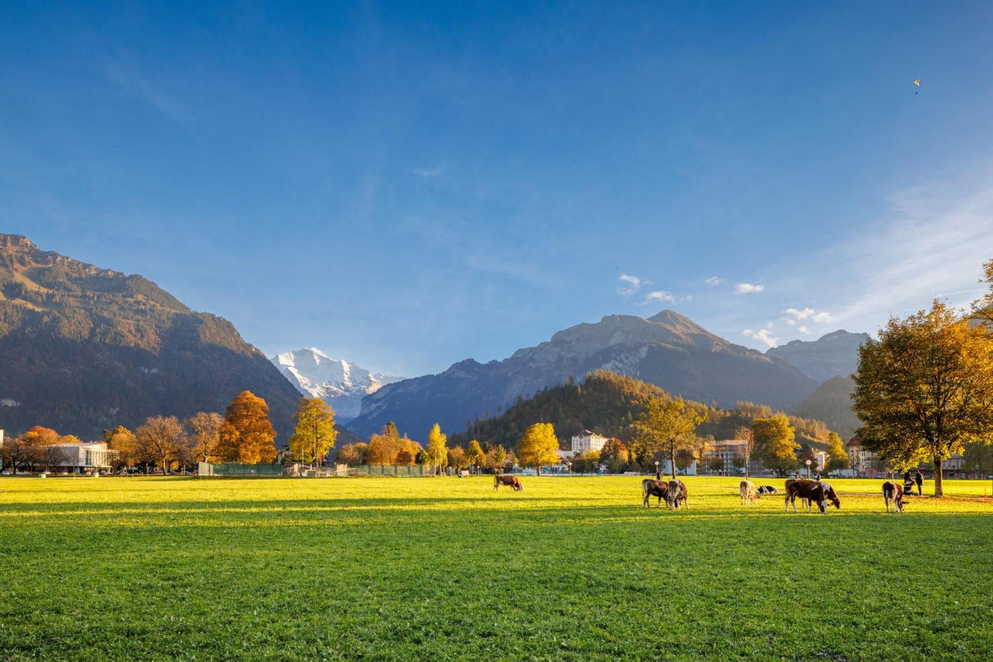 Hapimag Ferienwohnungen Interlaken Zewnętrze zdjęcie